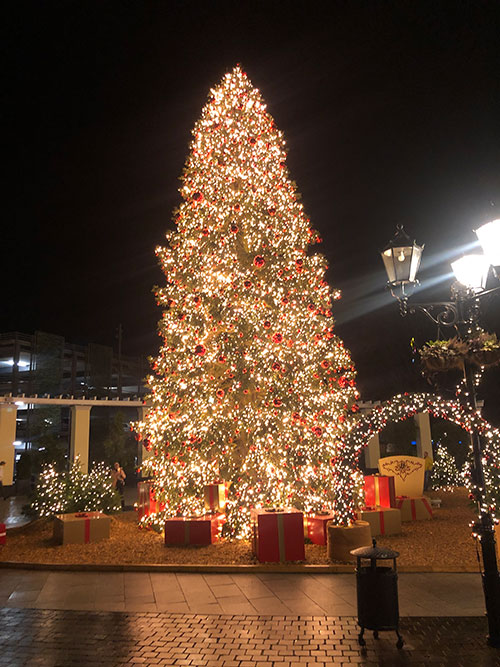 Weihnachtsbaum