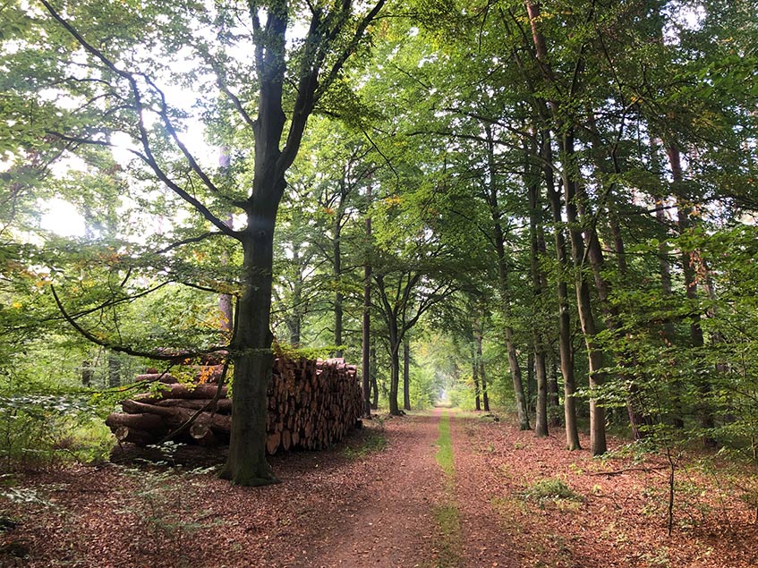 Zahnarzt Dr. Brussig im Herbsturlaub